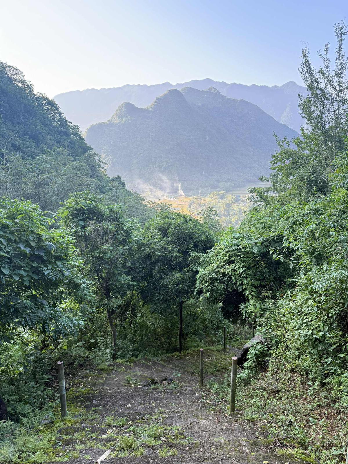 Art Exhibition, “Where the Forest Opens,” Museo ning Angeles